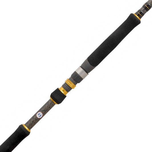 Cana Cinnetic Raycast XBR Sea Bass Spinning (3.60m | 30-70g)