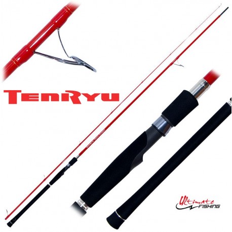 Cana Tenryu Dragon Express (2.90m | 20-60g)