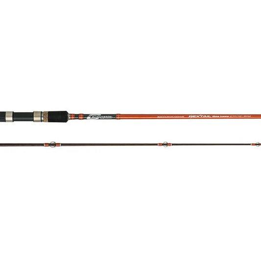 Cana Cinnetic Rextail Sea Bass 300 (3.00m | 20-80g)