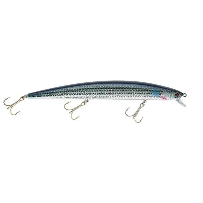 Amostra Sakura - Smart Minnow 165F - 31,5g