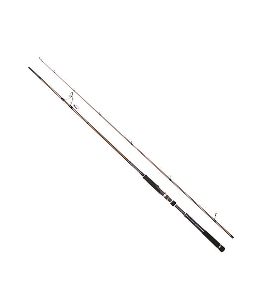 Cana Cinnetic Crafty Sea bass Evolution 300MH (3.00m | 20-70g)