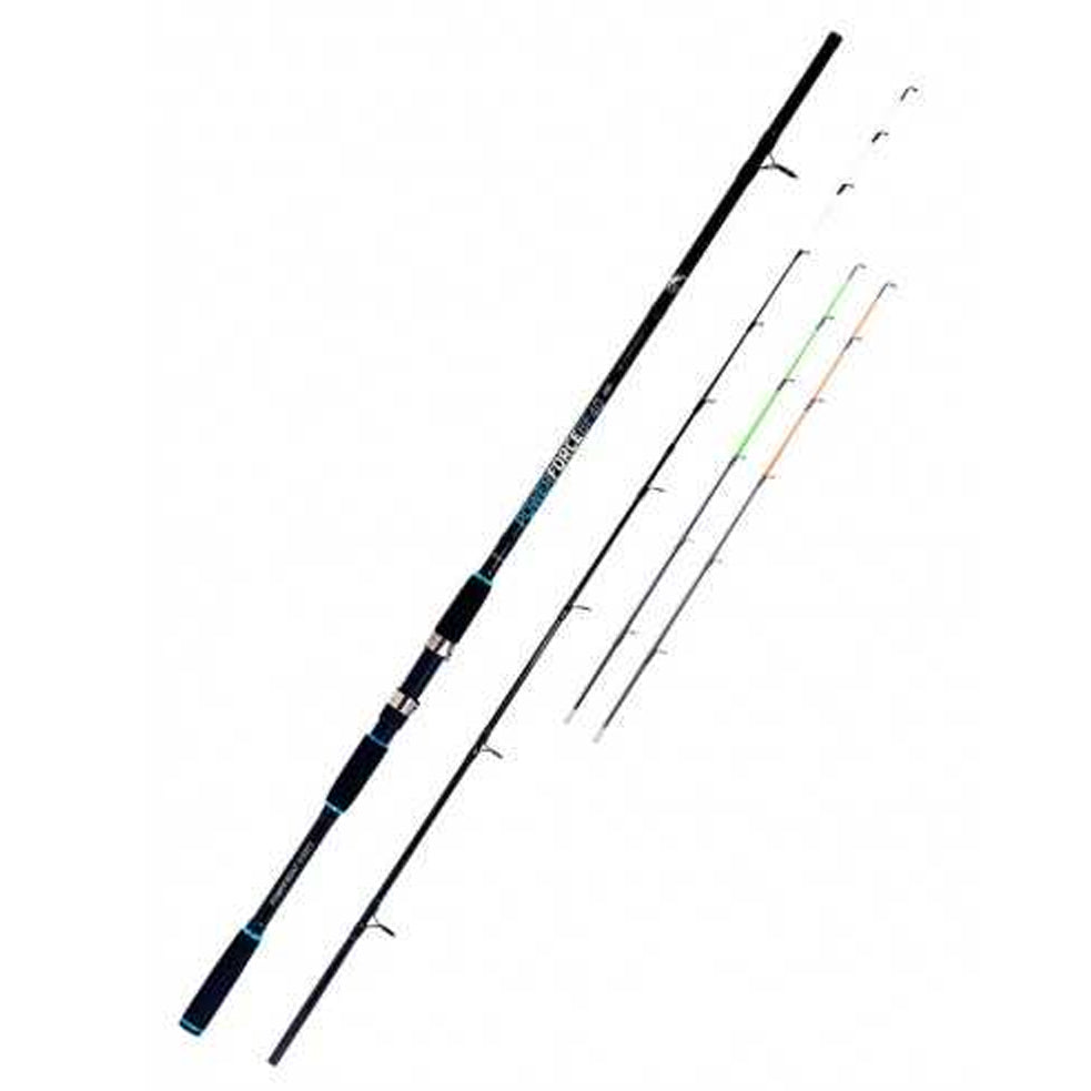 Cana Vega Power Force BF40  (2.70 m | 60–250 g)