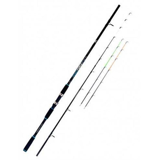 Cana Vega Power Force BF40 (2.40 m | 60–250 g)